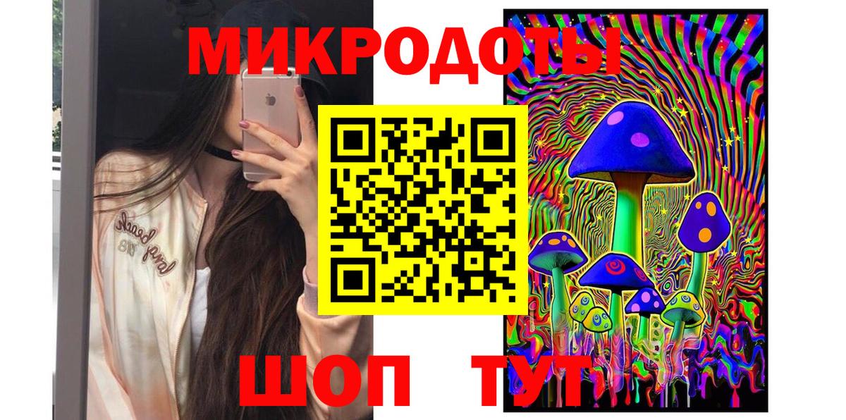 Камень-на-Оби  Псилоцибиновые грибы Magic Shrooms  Вход с VPN  Псилоцибиновые грибы мухоморы 